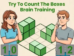 Spill Try To Count The Boxes Brain Training online