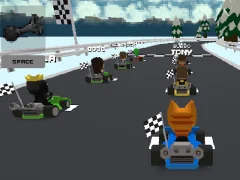 Spill Kart Bros online