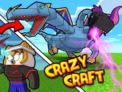 Spill Crazy Craft online