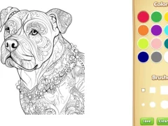 Spill Dog Coloring Book for Adults online