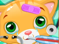 Spill Little Cat Doctor online