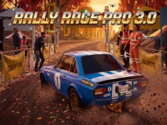 Spill Rally Race Pro 3 online