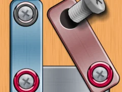 Spill Nuts & Bolts Puzzle online