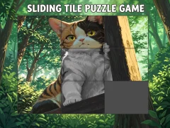 Spill Sliding Tile Puzzle Game online