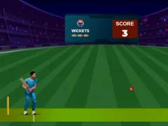 Spill Cricket Night 2 online