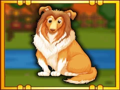 Spill Bernese Mountain Dog Escape online
