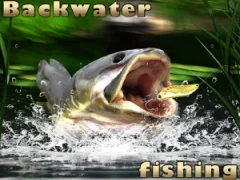 Spill Backwater Fishing online