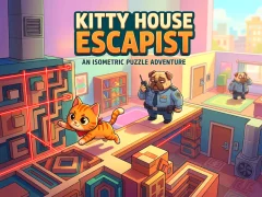 Spill Kitty House Escapist online