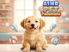 Spill Asmr Pet Treatment online