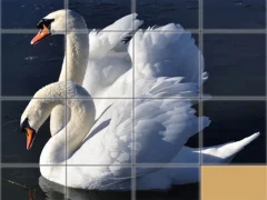 Spill Animals Slide Puzzle online