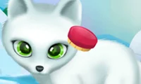 Spill Paws to Beauty Arctic Edition online