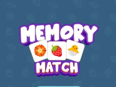Spill Memory Match online