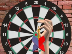Spill Darts 501 online