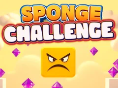 Spill Sponge Challenge online