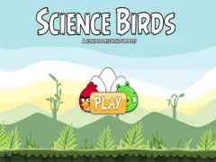 Spill Science Birds online