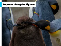 Spill Emperor Penguin Jigsaw online