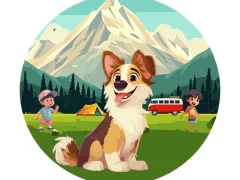 Spill Dog Hide N Seek online