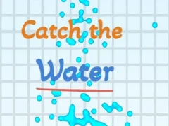 Spill Catch the water online
