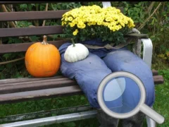 Spill Autumn Garden Find 100 butterflies online