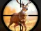 Spill Wild Hunting Clash online