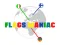 Spill Flags Maniac online