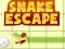 Spill Snake escape online