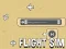 Spill Flight Sim online