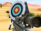 Spill Hit Targets Shooting online