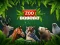 Spill ZOO Trivia online