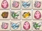 Spill Dragon Evolution online