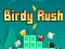 Spill Birdy Rush online