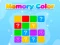 Spill Memory Color online