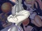Spill Space Jam online