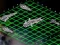Spill Intergalactic Battleships online
