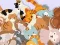 Spill Find The Kitty online