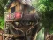 Spill Hidden Treehouse online