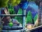 Spill The Witch of Egrya online
