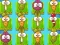 Spill Plant Evolution online