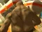 Spill Monster Simulator online