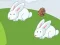 Spill Crazy Eggs online