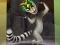 Spill King Julien: Trommel-Tanz online