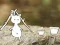 Spill Our Little Island online