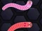 Spill Angry Worms online