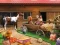 Spill Horse Ranch online