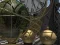 Spill Planetarium online