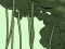 Spill Abandoned the Forest online