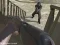 Spill Western:Invasion online