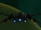 Spill Spaceship Arena online