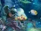 Spill Sunken Gold online