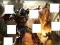 Spill Transformers 3 image puzzles online